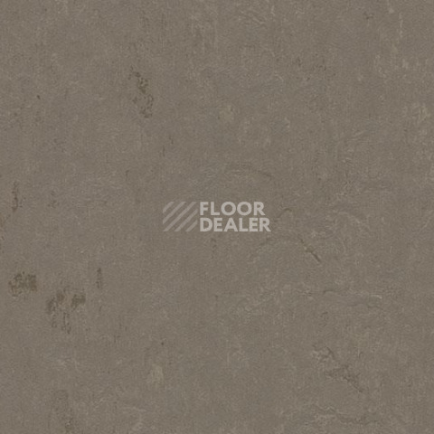 Линолеум Forbo Marmoleum Decibel on Order 370535 meteorite фото 1 | FLOORDEALER